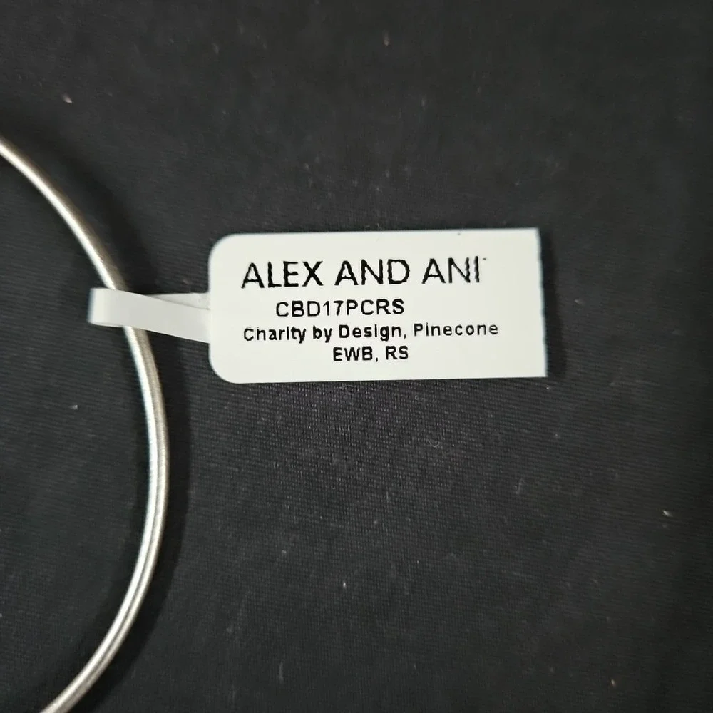 Alex and Ani Pine Cone Charm Bracelet NIB Silver Expandable Bangle